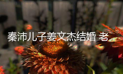 儿子选美漂亮出身长相出众姜文杰结秦沛气质婚 老婆